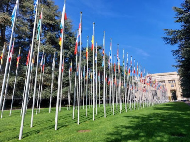 A row of international flags displayed on tall poles, set against a blue sky and green grass, possibly representing global unity or diplomatic presence.